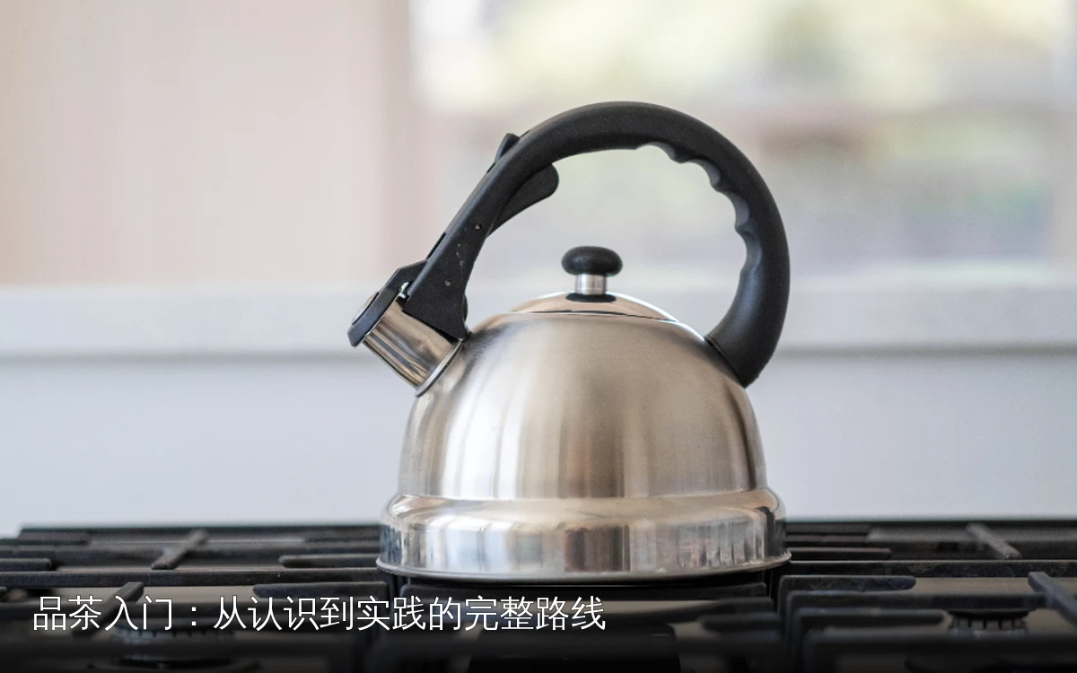 品茶入门：从认识到实践的完整路线